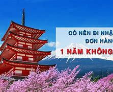 2022 Nên Đi Xklđ Nước Nào Ở Nhật Bản 2023 Mới Nhất