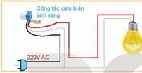 Công Nghệ Bài 12 Lớp 10 Kết Nối Tri Thức