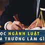 Ngành Luật Sư Học Trường Nào