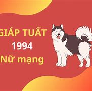 Tình Duyên Tuổi Giáp Tuất 1994 Nam Mạng 2024